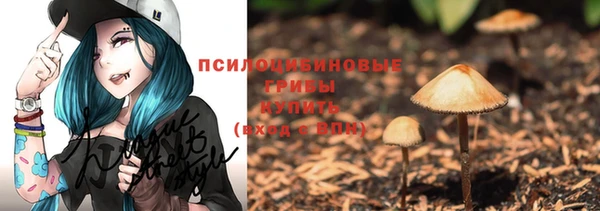 apvp Абинск