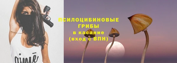 СК Абдулино