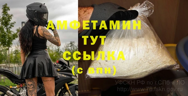 гашик Алексин